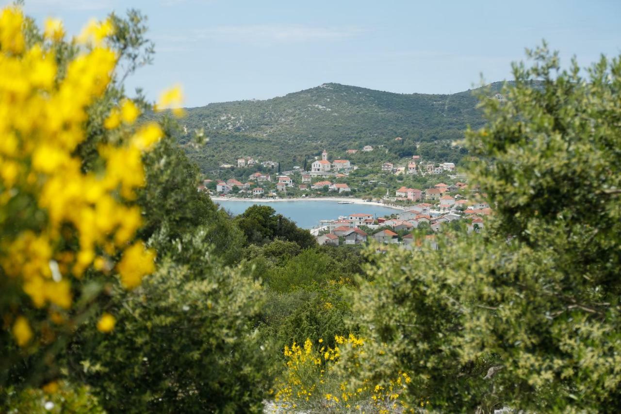 Ferienwohnung Apartman Paula 1 Vinišće Exterior foto